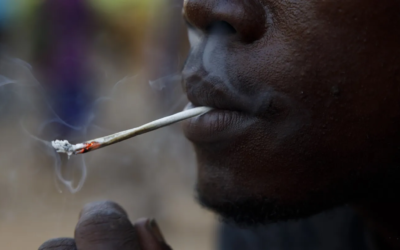 Kush : une drogue à l’origine d’une crise sanitaire en Afrique de l’Ouest